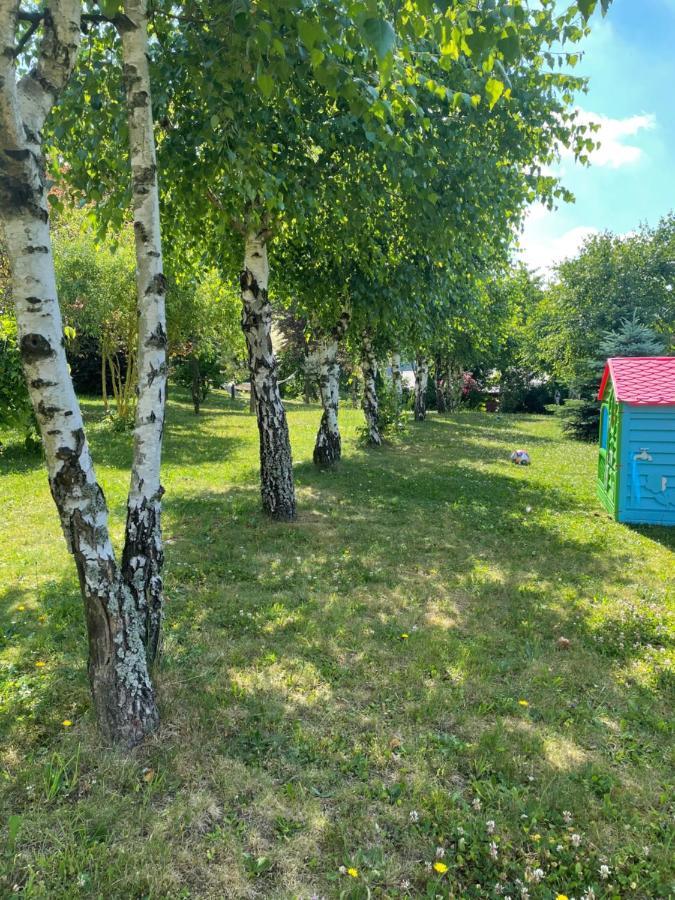 U Kowola - Gospodarstwo Agroturystyczne Weglowka  Exterior foto